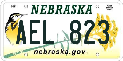 NE license plate AEL823