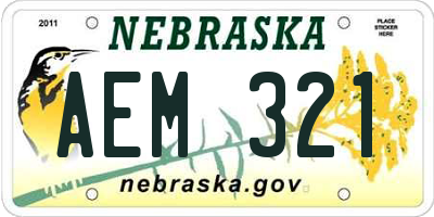 NE license plate AEM321