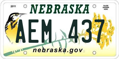 NE license plate AEM437