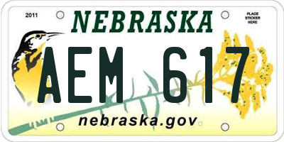 NE license plate AEM617
