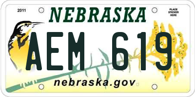 NE license plate AEM619