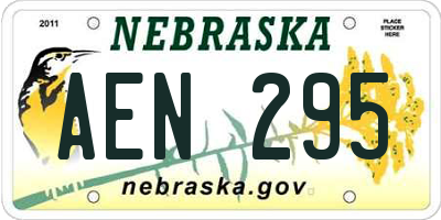 NE license plate AEN295