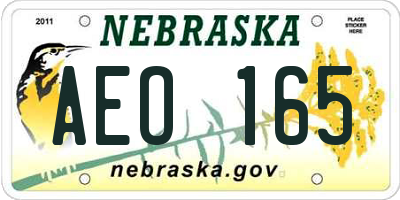 NE license plate AEO165