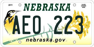 NE license plate AEO223