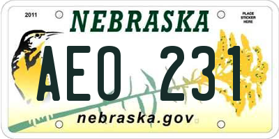 NE license plate AEO231