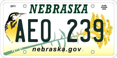 NE license plate AEO239