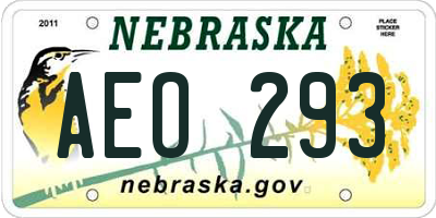 NE license plate AEO293