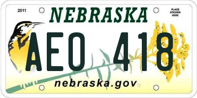 NE license plate AEO418