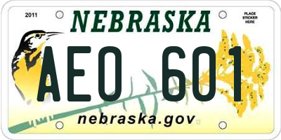 NE license plate AEO601