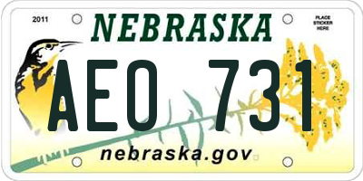 NE license plate AEO731