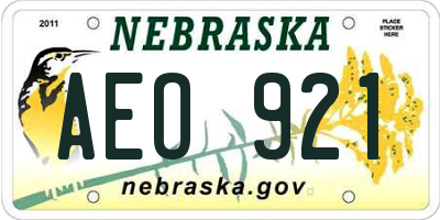 NE license plate AEO921