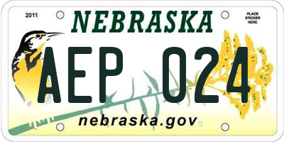NE license plate AEP024