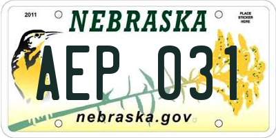 NE license plate AEP031