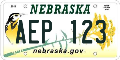 NE license plate AEP123