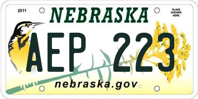 NE license plate AEP223