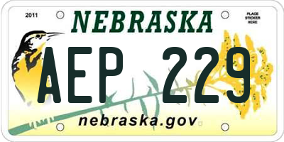 NE license plate AEP229