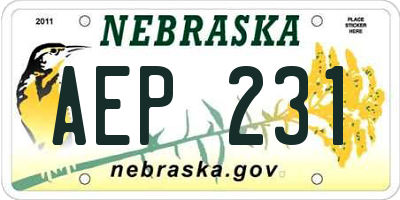 NE license plate AEP231