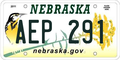 NE license plate AEP291
