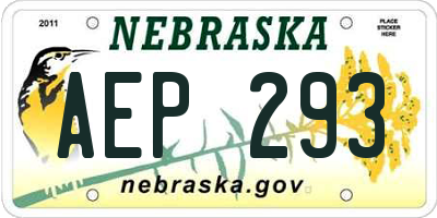 NE license plate AEP293