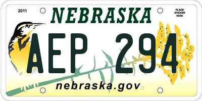 NE license plate AEP294