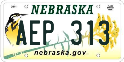 NE license plate AEP313