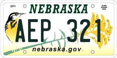 NE license plate AEP321