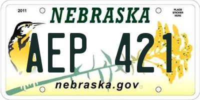 NE license plate AEP421