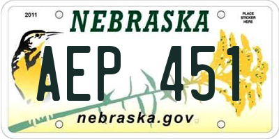 NE license plate AEP451