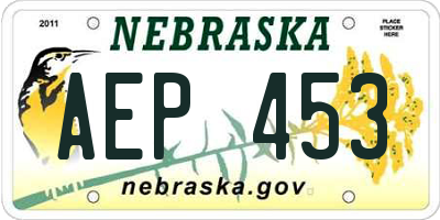NE license plate AEP453