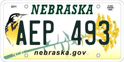NE license plate AEP493