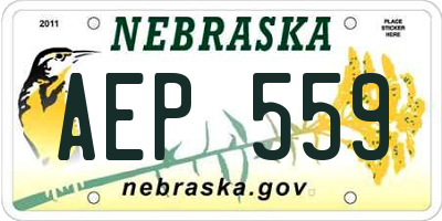 NE license plate AEP559