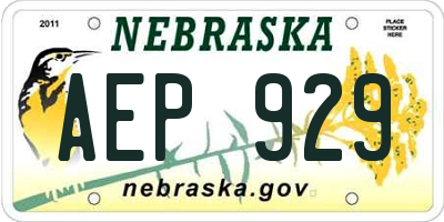 NE license plate AEP929