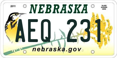 NE license plate AEQ231