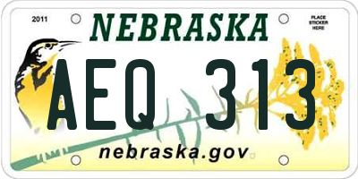 NE license plate AEQ313