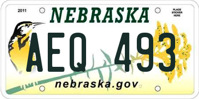 NE license plate AEQ493