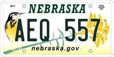 NE license plate AEQ557