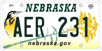 NE license plate AER231