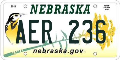 NE license plate AER236