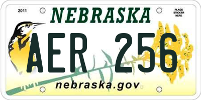 NE license plate AER256