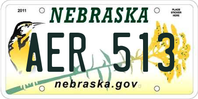 NE license plate AER513
