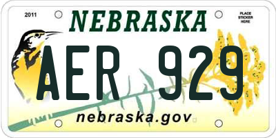 NE license plate AER929