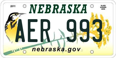NE license plate AER993