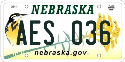 NE license plate AES036
