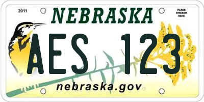 NE license plate AES123