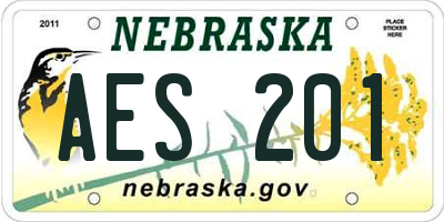 NE license plate AES201