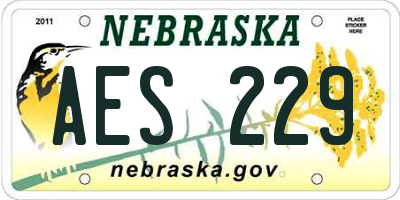 NE license plate AES229