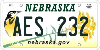 NE license plate AES232