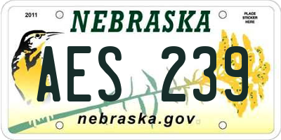 NE license plate AES239