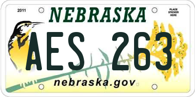 NE license plate AES263