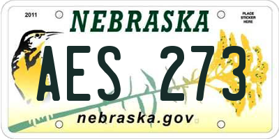 NE license plate AES273